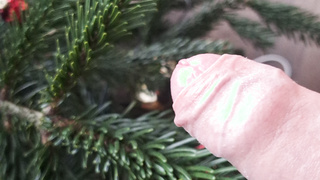 Frohe Weihnachten Schwanz am Weihnachtsbaum