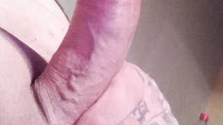 Geiler Schwanz Bilder