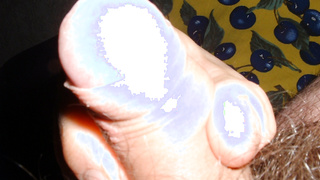 Schwänze, mein bester Freund