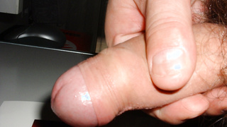 Schwänze, mein bester Freund