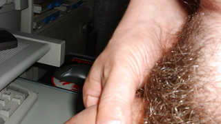 Schwänze, mein bester Freund