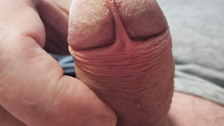 Meine Eichel mit Precum