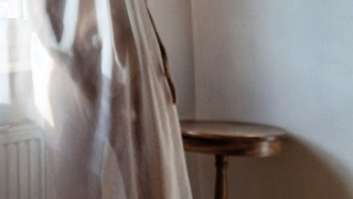 Frau am Fenster in Gardine gehüllt