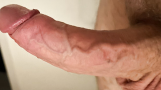 Steifer Schwanz für alle