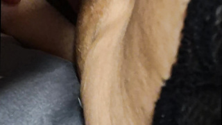 Die Nachbarin in sexy Dessous