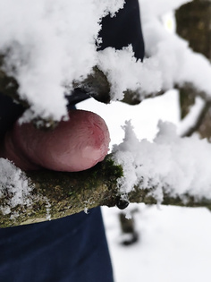 Penis im Winterwald