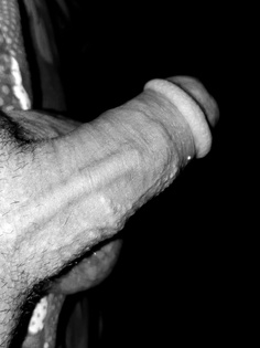 Mein Schwanz im Rampenlicht