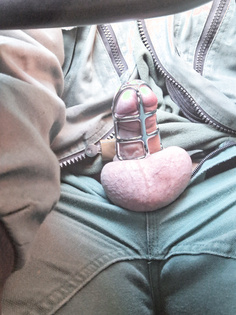 Penis käfig im Auto