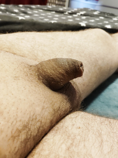 Habe hier mal meinen Penis für euch fotografiert