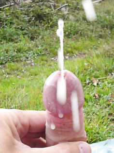 Penis Indoor und Outdoor Fotos