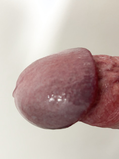 Nahaufnahme meiner fetten Eichel