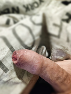 Jungfräulicher Schwanz Bilder