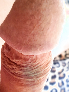 Mein Penis für euch später gerne noch mehr
