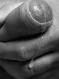 Schwanz in der Hand