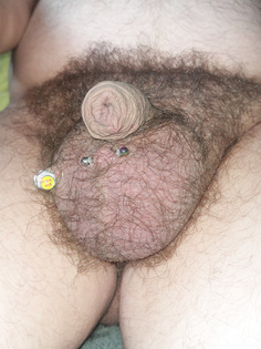 Penis mal unrasiert