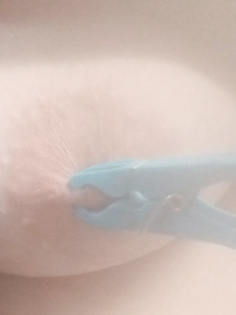 Meine Nippel mit Wäscheklammern