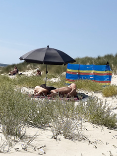 Ein guter Tag am FKK-Strand 3