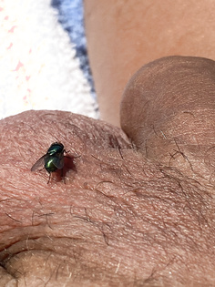 Ein unerwarteter Besucher.
