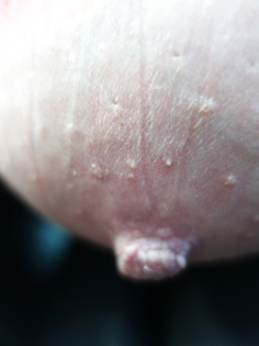 Harte Nippel Alte Frau Gratis Pornos und Sexfilme Hier Anschauen Harte Nippel Alte Frau Gratis Pornos und Sexfilme Hier Anschauen