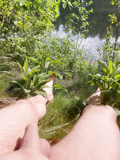 Fkk am Weiher