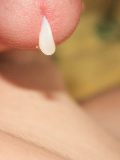 Sperma Bilder