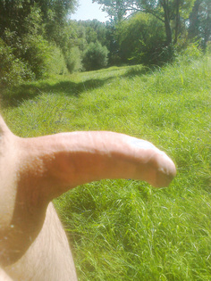 Steifer Penis in der Wiese