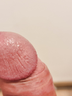 Unser Er, ein kleiner Einblick