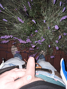 Klein aber kann auch überdurchschnittlich groß