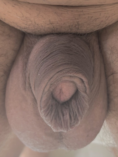 Kleiner Schwanz mit dicken Eiern.