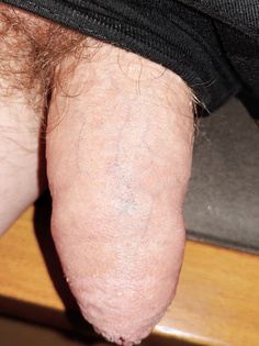 Mein kleiner Freund 1. Foto