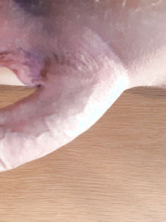 Dauer Geil will Benutzt werden