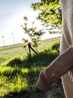 Mein Schwanz in der Natur