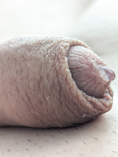 Wer will ihn verwöhnen?