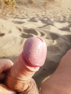 Hengsteichel am Sandstrand