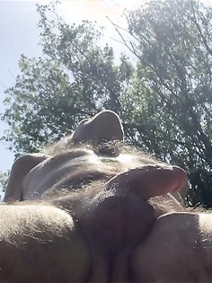 Für Johanna beim Sonnen abgelichtet