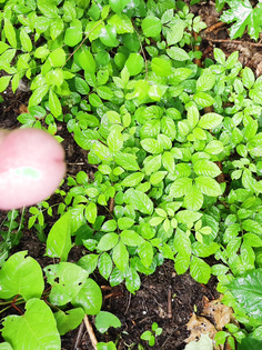 Outdoor geil geworden