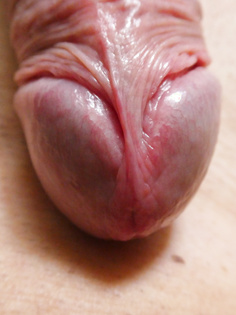 Im Homeoffice kleines Fotoshooting