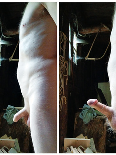 Mein Penis in vielen Varianten.