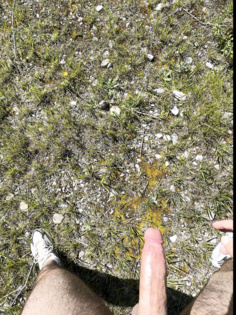 Die ersten Bilder von meinem großen Schwanz