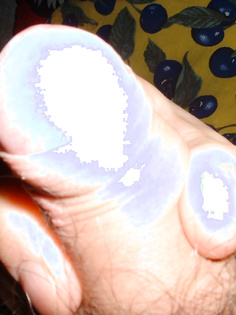 Schwänze, mein bester Freund