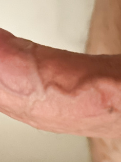 Steifer Schwanz für alle