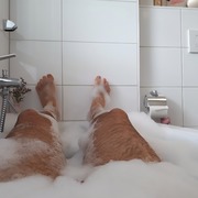 Neugierig96