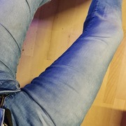 braver-hengst
