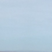 Schmetterling Schmetterling