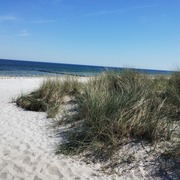 Fredi_78