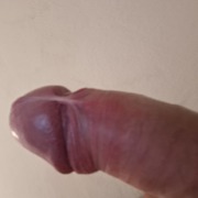 Mr.Cock