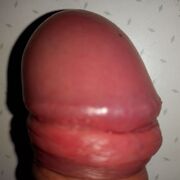 Stippy77