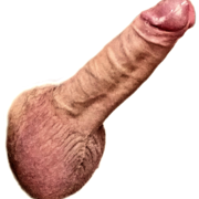 Franksx