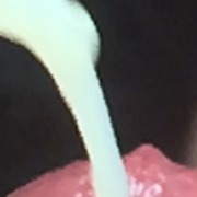 aa4499