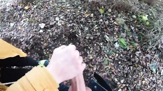 Meinem Schwager im Park den Schwanz gewichst